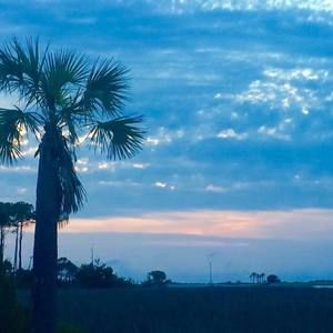 Meet your Posher, Terri